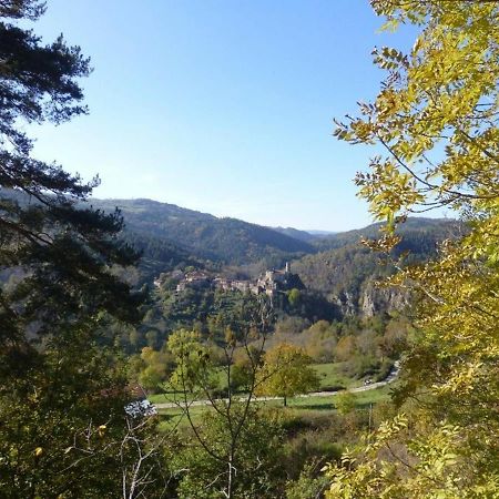 Gite En Pierre Avec Terrasses, Proche De Sites Medievaux, Ideal Pour Famille Avec Equipements Bebe. - Fr-1-582-256 Boisset  外观 照片